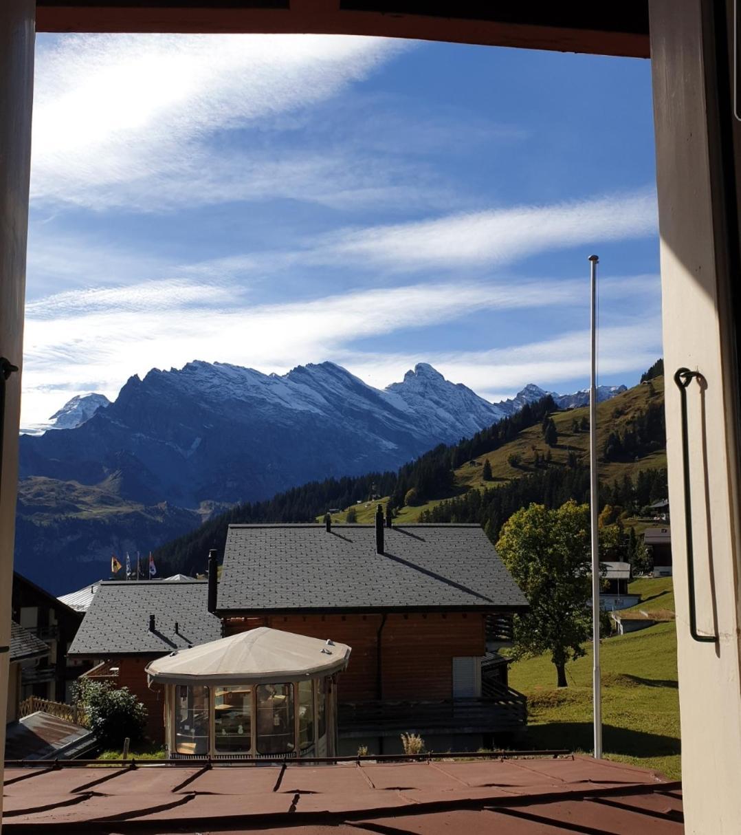 Jungfrau Hotel 3*